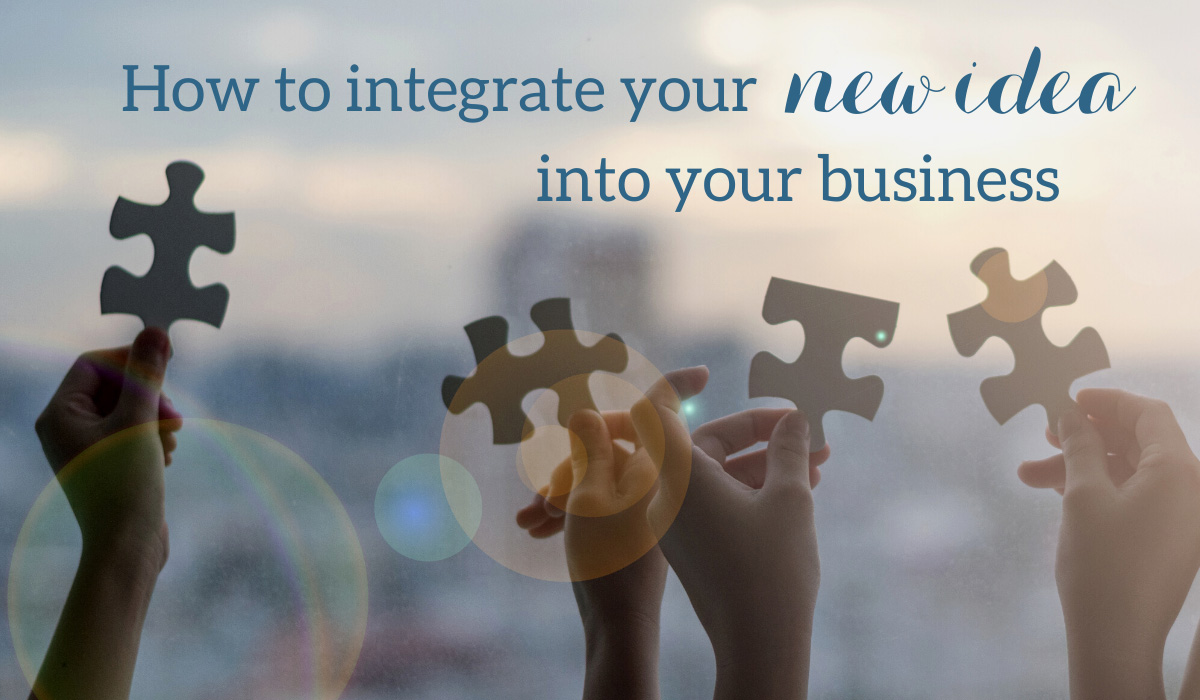 How to intergrate your new idea into your business - Christine Sheehy