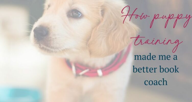 How puppy training made me a better book coach
